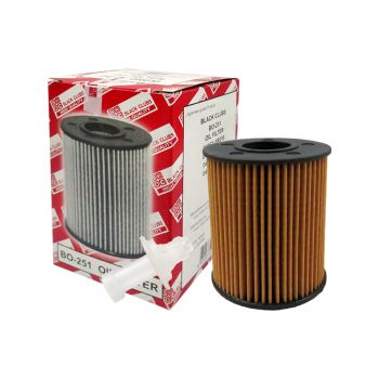 BC กรองเครื่อง FORTUNER 2.7 (2TR) กรองกระดาษ (BO-251)